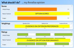 Towards generic online multicriteria decision support in patient-centred health care.