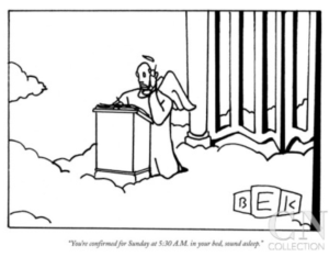 Communicating About Mortality in Health Decision Support: ‘What and Why and When, and How and Where and Who’