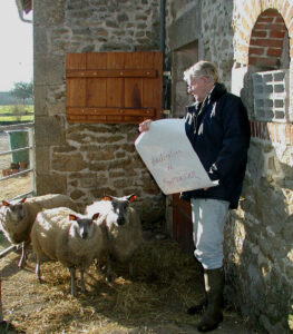 The Montourtier Declaration: an ethical code for Decision Analysts